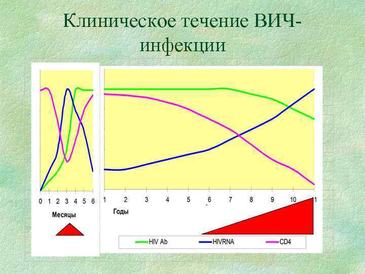 Клиническое течение ВИЧинфекции 