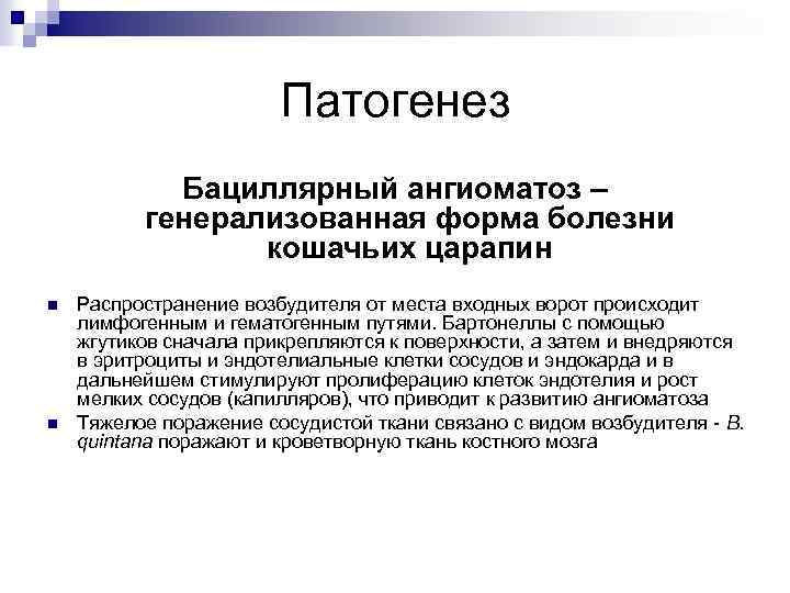 Патогенез Бациллярный ангиоматоз – генерализованная форма болезни кошачьих царапин n n Распространение возбудителя от