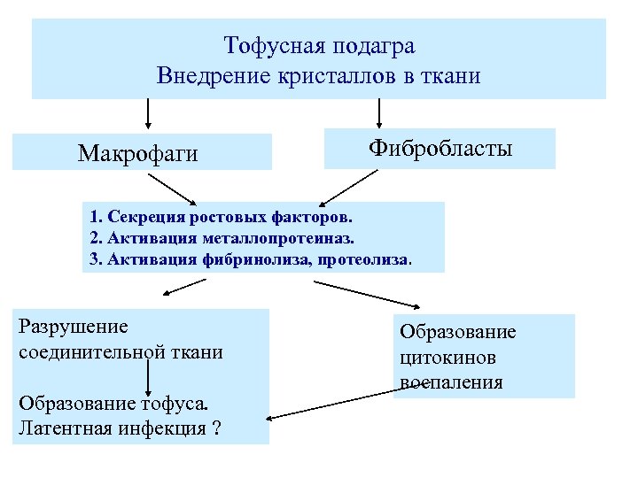 Тофусная подагра Внедрение кристаллов в ткани Макрофаги Фибробласты 1. Секреция ростовых факторов. 2. Активация