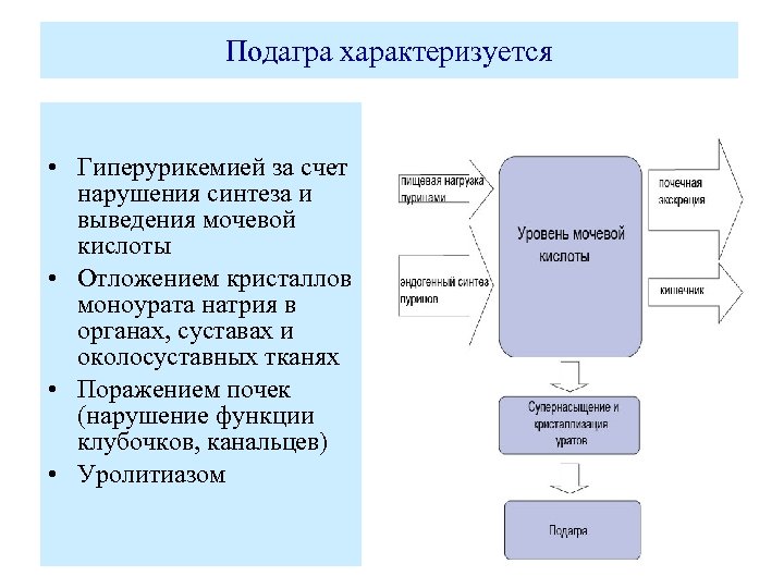 Гиперурикозурия и гиперурикемия