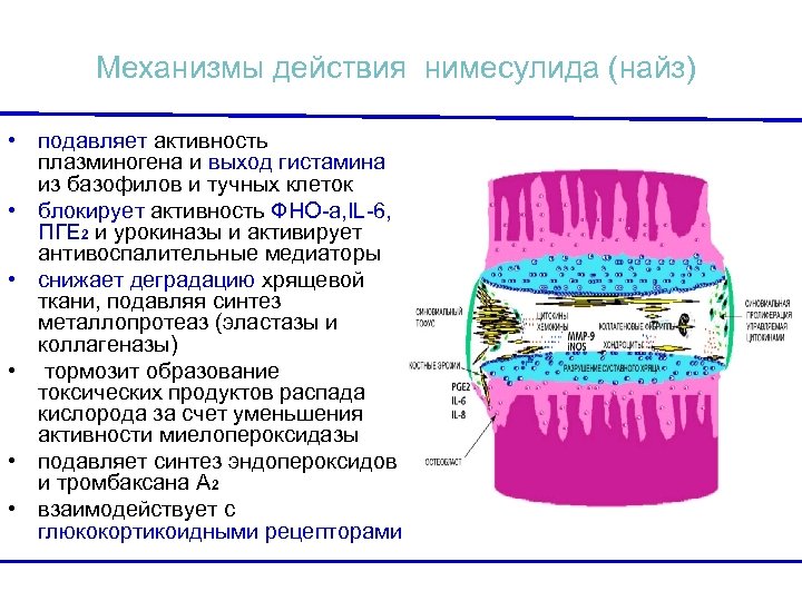 Механизмы действия нимесулида (найз) • подавляет активность плазминогена и выход гистамина из базофилов и