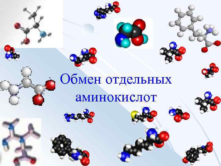 Обмен отдельных аминокислот 
