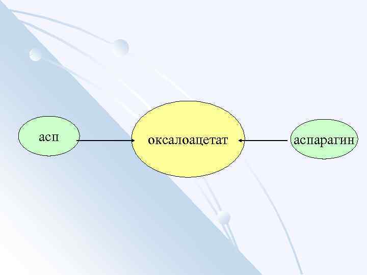 асп оксалоацетат аспарагин 
