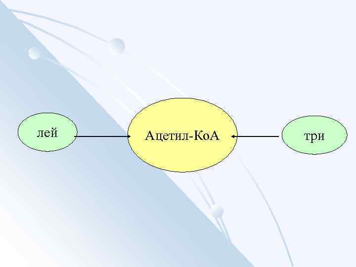 лей Ацетил-Ко. А три 