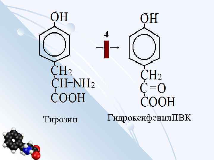 Тирозин Гидроксифенил. ПВК 