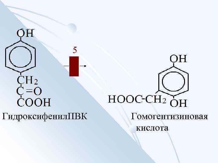 Гидроксифенил. ПВК Гомогентизиновая кислота 