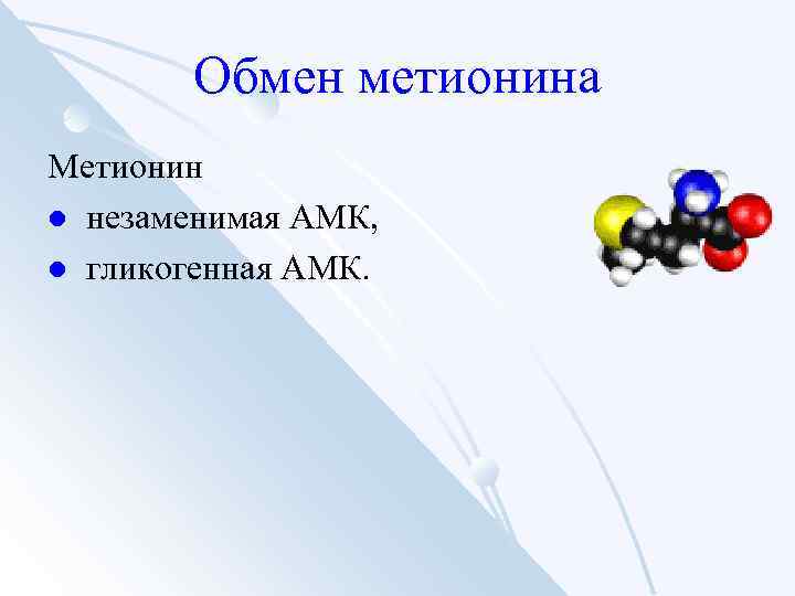 Обмен метионина Метионин l незаменимая АМК, l гликогенная АМК. 