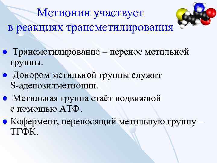 Метионин участвует в реакциях трансметилирования Трансметилирование – перенос метильной группы. l Донором метильной группы