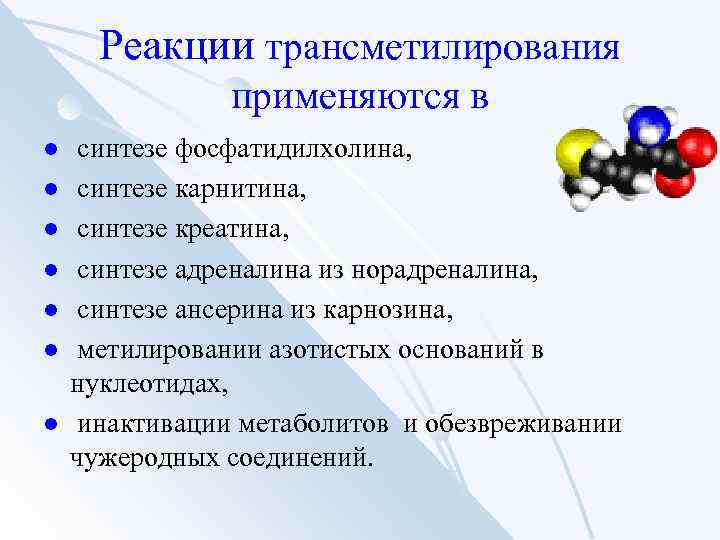 Реакции трансметилирования применяются в l l l l синтезе фосфатидилхолина, синтезе карнитина, синтезе креатина,