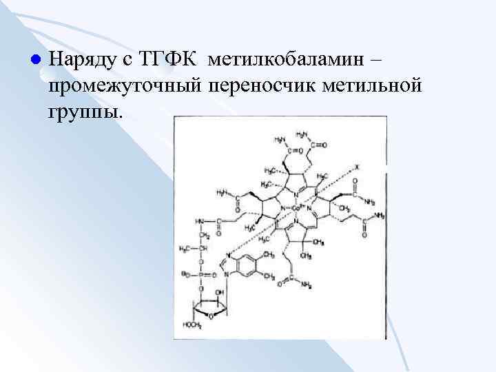 l Наряду с ТГФК метилкобаламин – промежуточный переносчик метильной группы. 