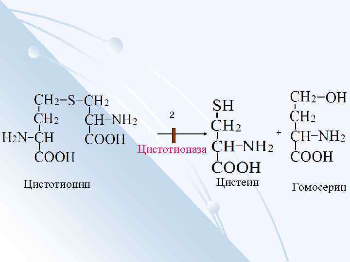 2 Цистотионаза Цистотионин Цистеин Гомосерин 