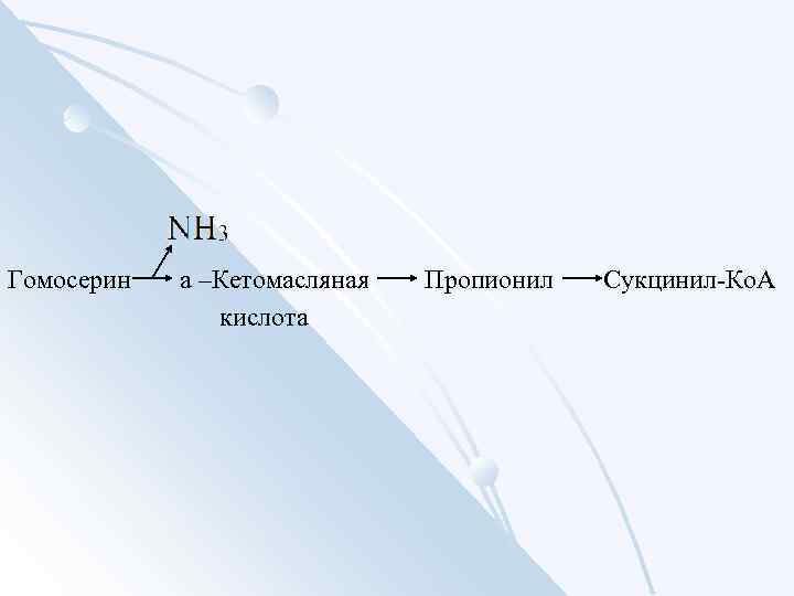 Гомосерин a –Кетомасляная кислота Пропионил Сукцинил-Ко. А 