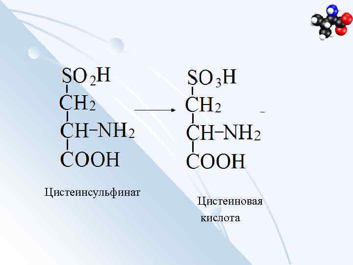 Цистеинсульфинат Цистеиновая кислота 