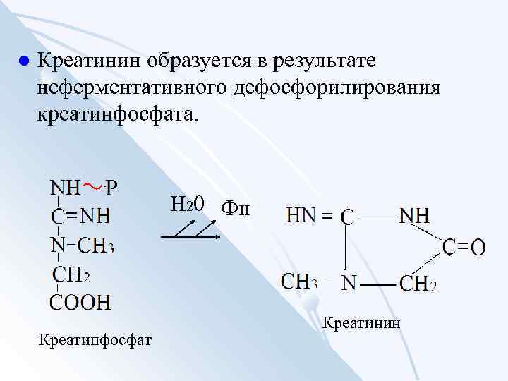 l Креатинин образуется в результате неферментативного дефосфорилирования креатинфосфата. Н 20 Фн Креатинфосфат Креатинин 