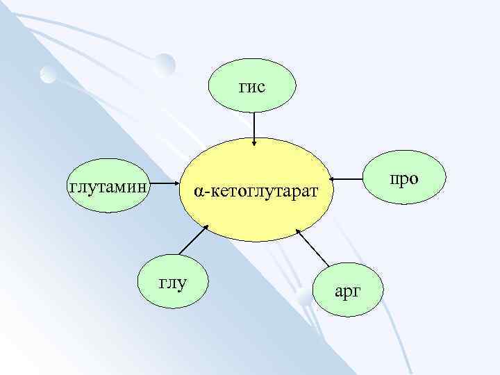 гис глутамин про α-кетоглутарат глу арг 