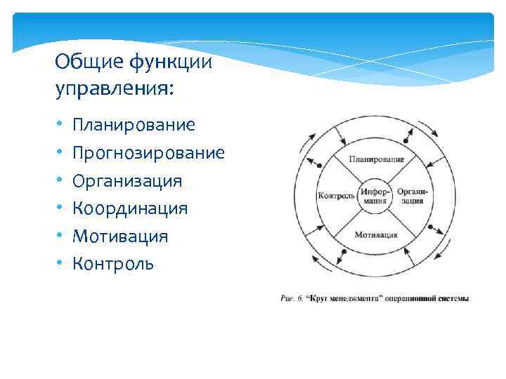 Общие функции управления: • • • Планирование Прогнозирование Организация Координация Мотивация Контроль 