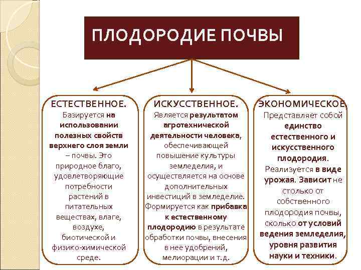 ПЛОДОРОДИЕ ПОЧВЫ ЕСТЕСТВЕННОЕ. Базируется на использовании полезных свойств верхнего слоя земли – почвы. Это