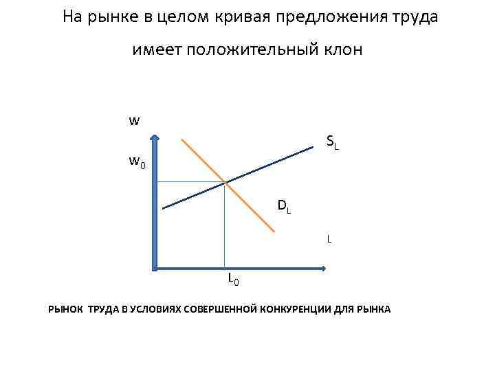  На рынке в целом кривая предложения труда имеет положительный клон w SL w
