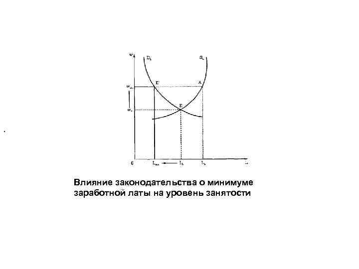 . Влияние законодательства о минимуме заработной латы на уровень занятости 