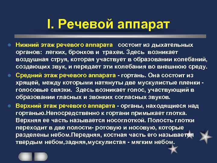 I. Речевой аппарат Нижний этаж речевого аппарата состоит из дыхательных органов: легких, бронхов и