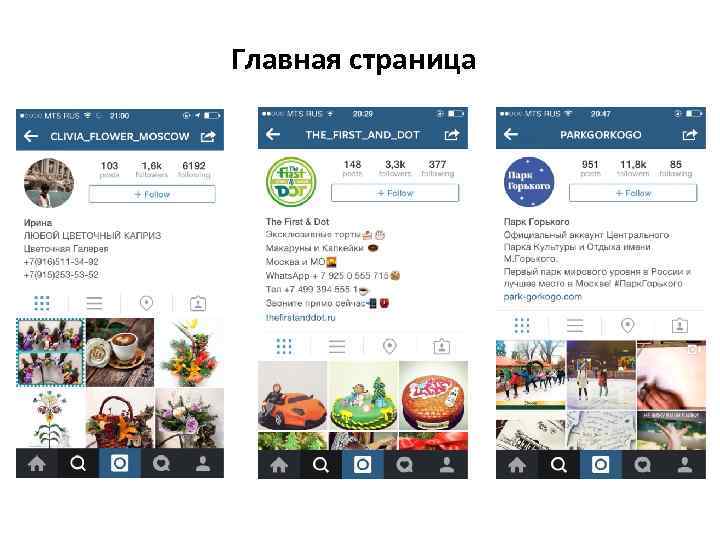 Главная страница 