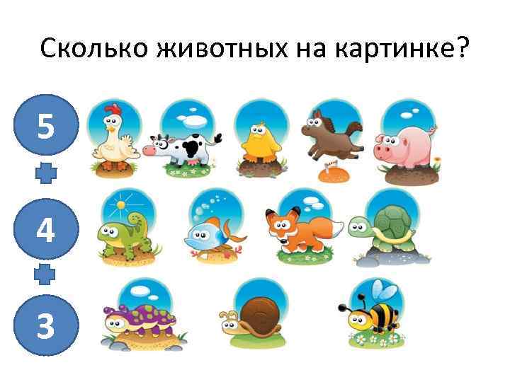 Сколько животных на картинке? 5 4 3 