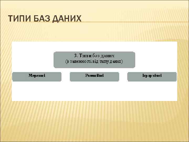 ТИПИ БАЗ ДАНИХ 