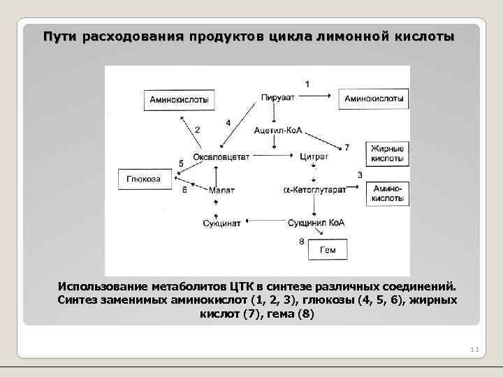 Окислительное декарбоксилирование пирувата схема