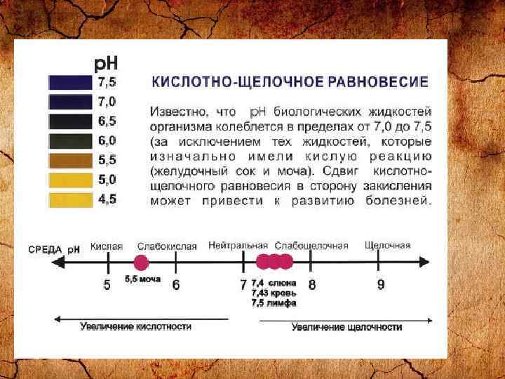 Повышенная щелочная кислота