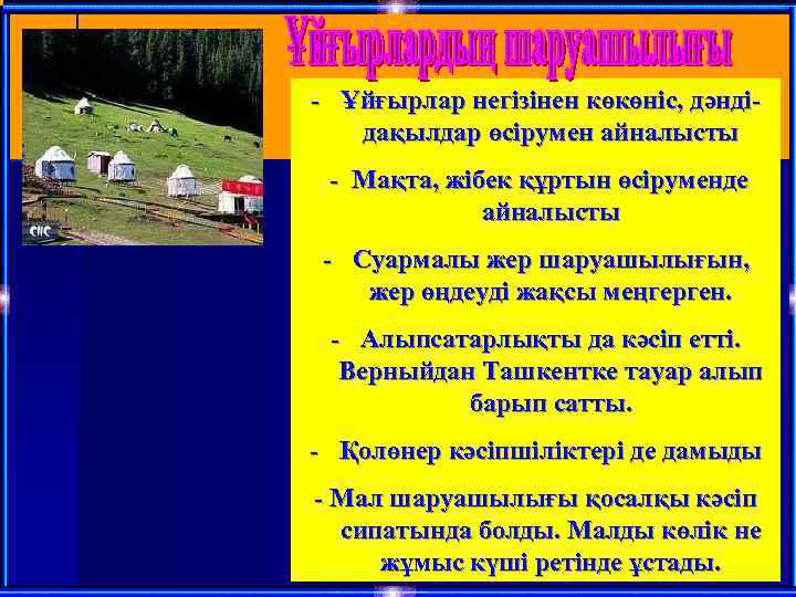 - Ұйғырлар негізінен көкөніс, дәндідақылдар өсірумен айналысты - Мақта, жібек құртын өсіруменде айналысты -