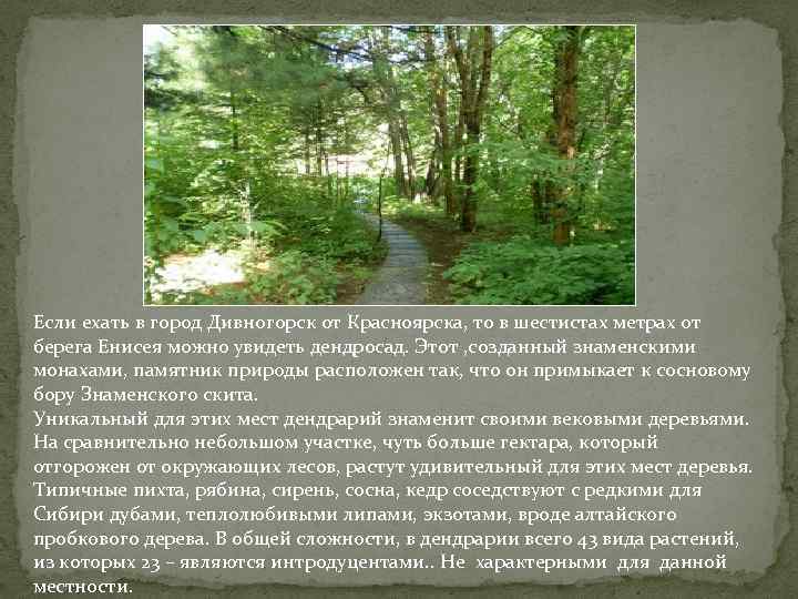 Если ехать в город Дивногорск от Красноярска, то в шестистах метрах от берега Енисея