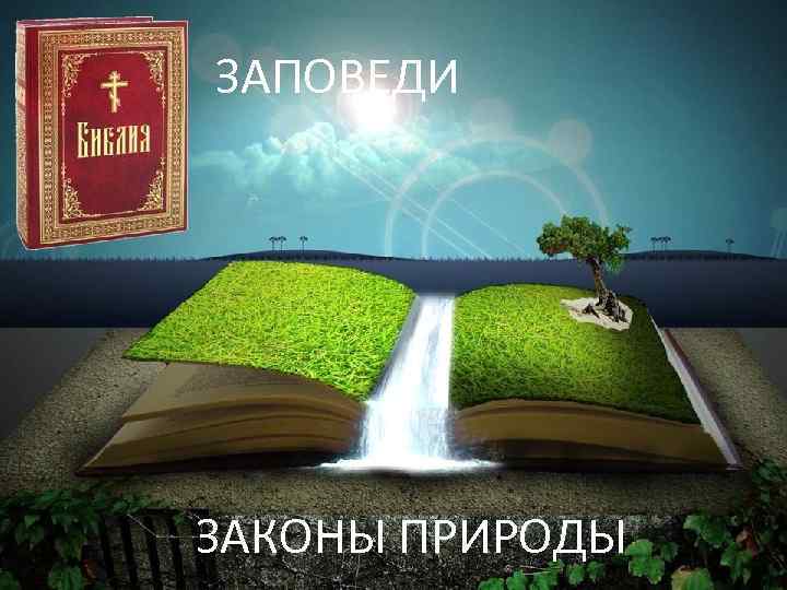 ЗАПОВЕДИ ЗАКОНЫ ПРИРОДЫ 