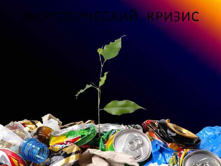 ЭКОЛОГИЧЕСКИЙ КРИЗИС 