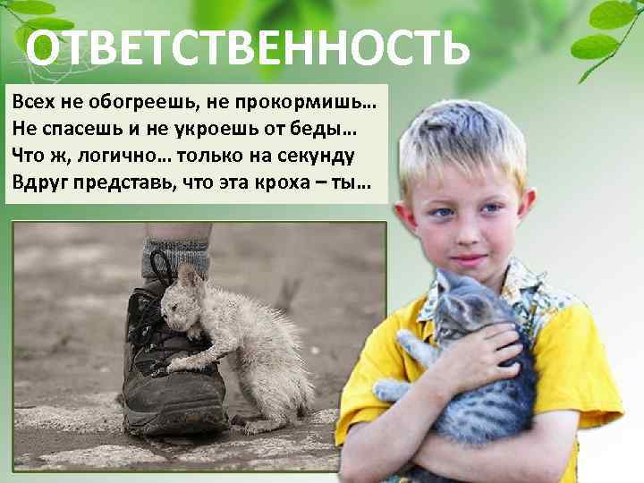 ОТВЕТСТВЕННОСТЬ Всех не обогреешь, не прокормишь… Не спасешь и не укроешь от беды… Что
