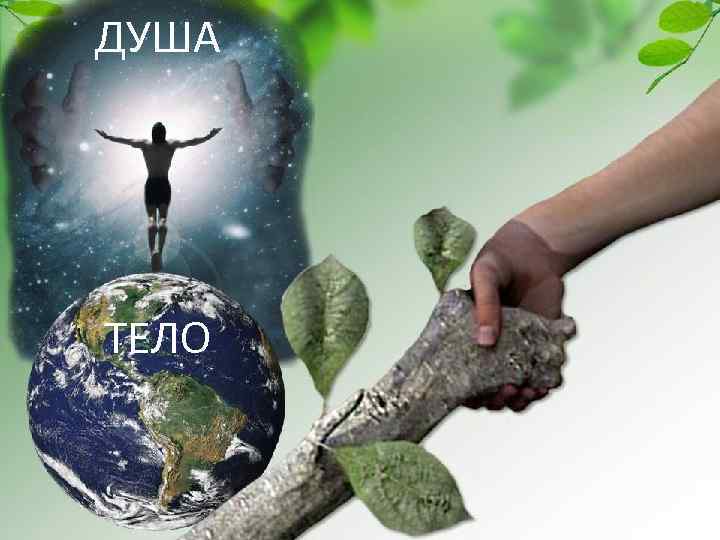 ДУША ТЕЛО 