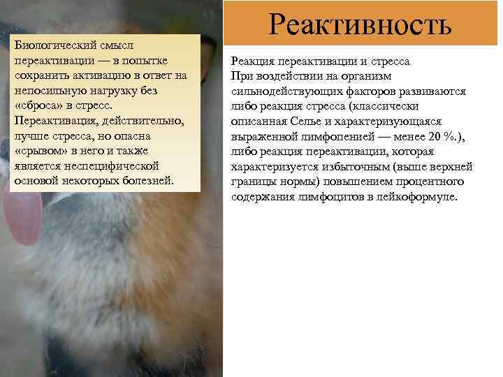 Биологический смысл переактивации — в попытке сохранить активацию в ответ на непосильную нагрузку без