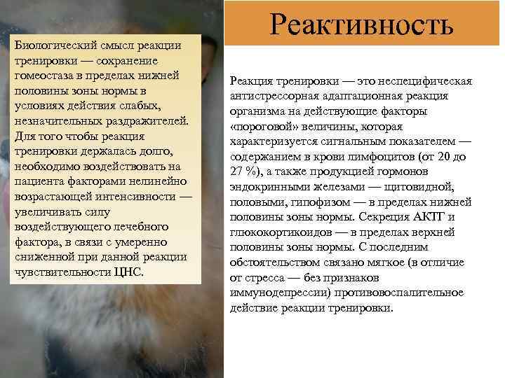 Биологический смысл реакции тренировки — сохранение гомеостаза в пределах нижней половины зоны нормы в