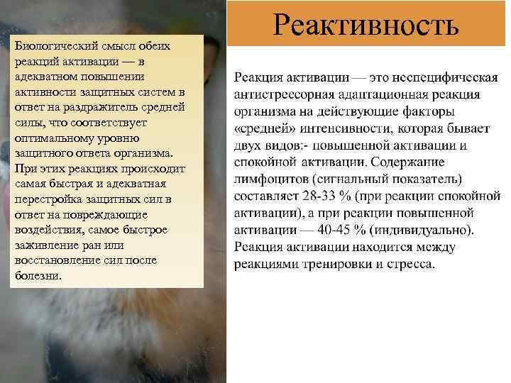 Биологический смысл обеих реакций активации — в адекватном повышении активности защитных систем в ответ