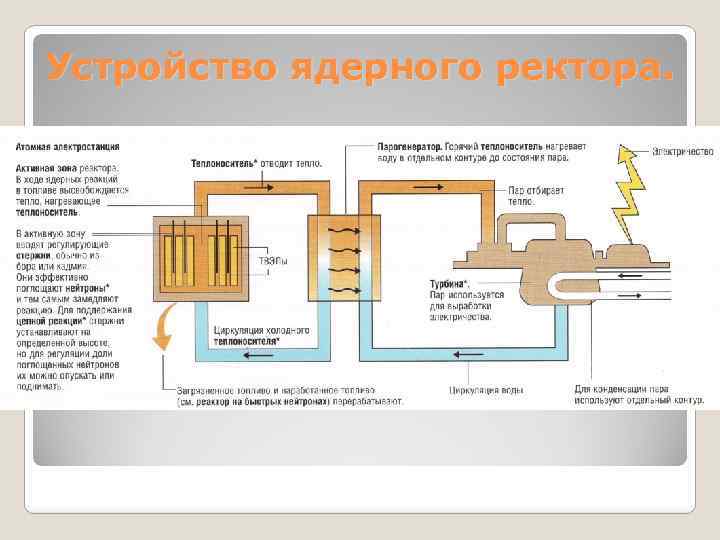 Устройство ядерного ректора. 