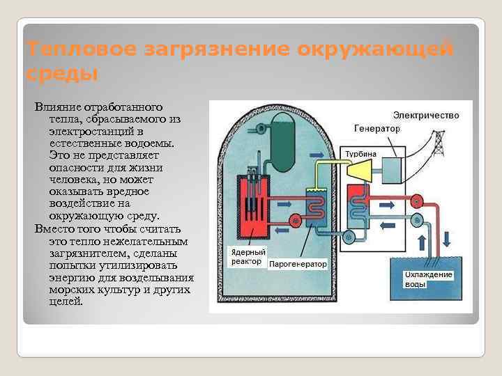 Тепловое загрязнение окружающей среды Влияние отработанного тепла, сбрасываемого из электростанций в естественные водоемы. Это