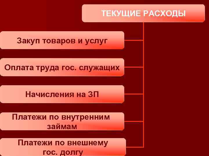 ТЕКУЩИЕ РАСХОДЫ Закуп товаров и услуг Оплата труда гос. служащих Начисления на ЗП Платежи