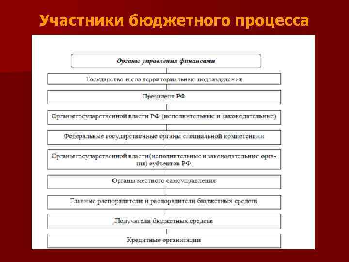 Участники бюджетного процесса 