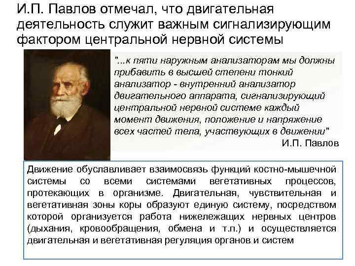 И. П. Павлов отмечал, что двигательная деятельность служит важным сигнализирующим фактором центральной нервной системы