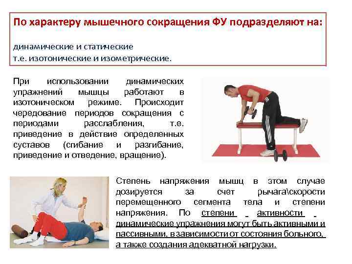 По характеру мышечного сокращения ФУ подразделяют на: динамические и статические т. е. изотонические и