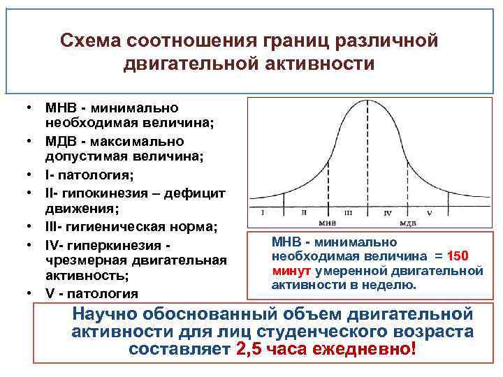 Схема соотношения границ различной двигательной активности • МНB - минимально необходимая величина; • МДВ