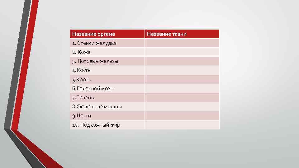 Название органа 1. Стенки желудка 2. Кожа 3. Потовые железы 4. Кость 5. Кровь