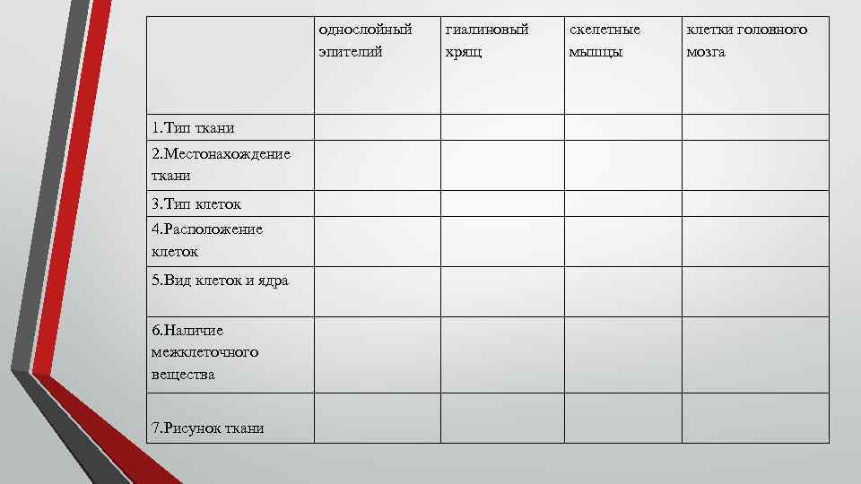 однослойный эпителий 1. Тип ткани 2. Местонахождение ткани 3. Тип клеток 4. Расположение клеток