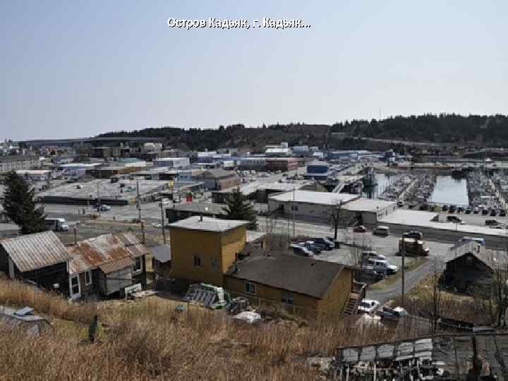 Остров Кадьяк, г. Кадьяк. . . 