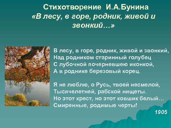 Стихотворение и а бунина. В лесу в горе Родник живой и звонкий Бунин. В лесу в горе Родник живой и звонкий Бунин стихотворение. Бунин Родник стихотворение. Стихотворение Бунина лес.