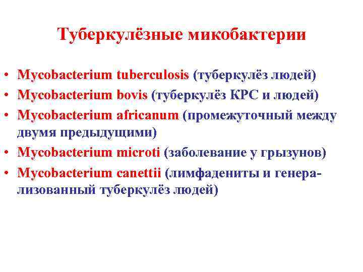 Туберкулёзные микобактерии • Mycobacterium tuberculosis (туберкулёз людей) • Mycobacterium bovis (туберкулёз КРС и людей)